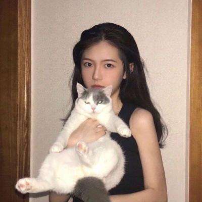 开心国王在线玩下载